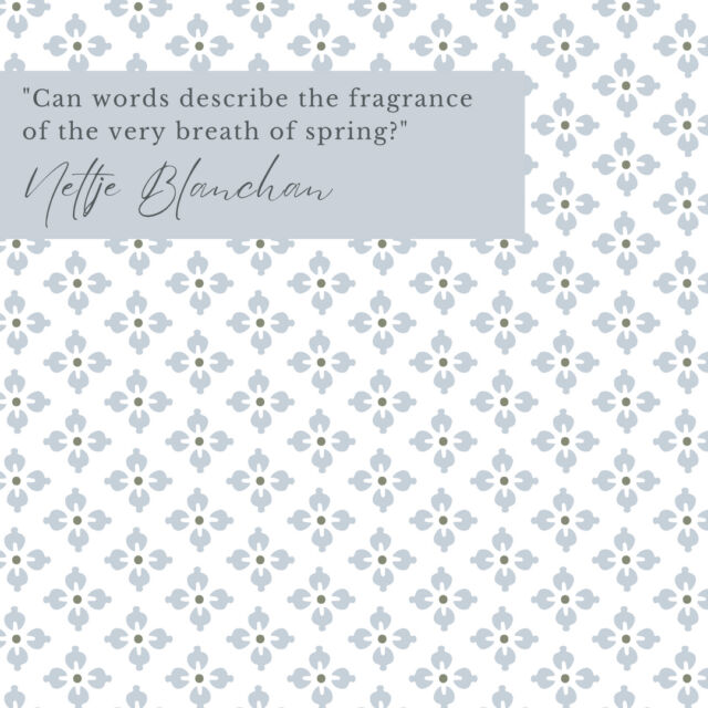 Welcoming the first day of spring with open arms today.​​​​​​​​
​​​​​​​​
"Can words describe the fragrance of the very breath of spring?" - Neltje Blanchan
