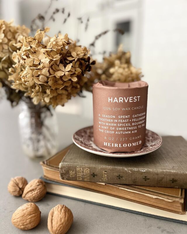 We’re celebrating the first Monday of fall by lighting the Harvest Candle! The perfect way to celebrate the start of fall 🍂