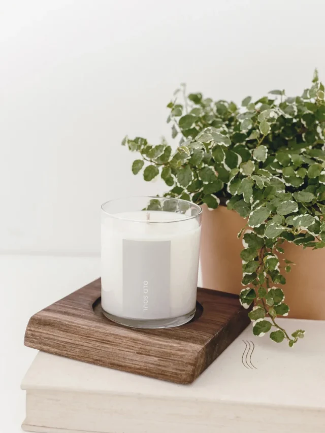 Old Soul isn’t a new concept over here. Our Old Soul candles is one of my very favorite signature scents, and my personal first custom blend of rose, cedar & pear.

Growing up my Nana, Grandma & Mom all had beautiful rose gardens and it is my very favorite signature scent, scents tied to memories always are 🤍