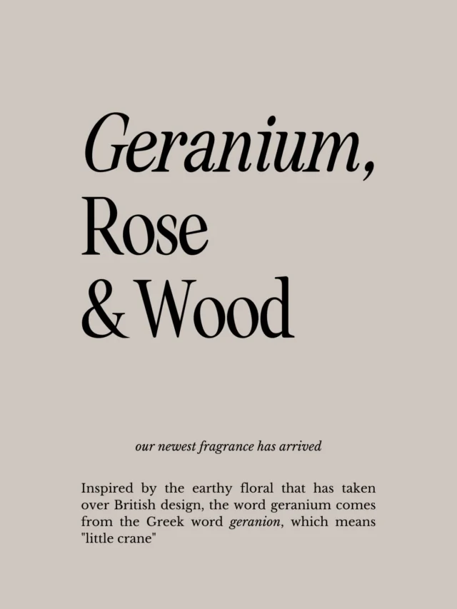 G E R A N I U M : an earthy floral scent so distinct it instantly takes you to a moment. A mix with rose to soften the scent on your palette and wood to strengthen  and reassure the hearty scent. 

The blooms grace old terracotta pots of British interiors, growing mangled and wild. They are sturdy, lasting and comforting and our Geranium embodied all of these strengths. 

Grab our scent of the month 🪴